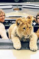 Watch The Lion Cub from Harrods 123MoviesFree