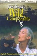 Watch Jane Goodall's Wild Chimpanzees 123MoviesFree
