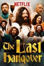 Watch The Last Hangover 123MoviesFree