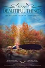 Watch Many Beautiful Things 123MoviesFree