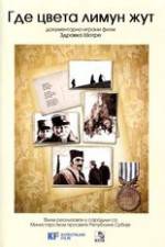 Watch Where the Yellow Lemon Blooms 123MoviesFree