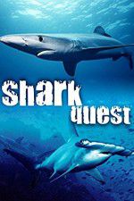 Watch Shark Quest 123MoviesFree