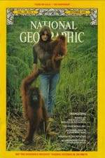 Watch Search for the Great Apes 123MoviesFree