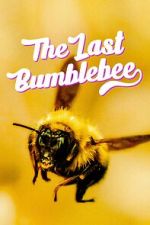 Watch The Last Bumblebee 123MoviesFree