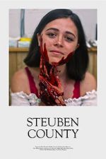 Watch Steuben County 123MoviesFree