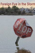 Watch Foreign Eye in the Storm 123MoviesFree