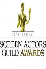 Watch The 20th Annual Screen Actors Guild Awards 123MoviesFree
