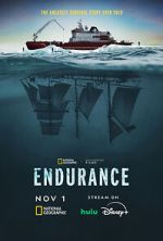 Watch Endurance 123MoviesFree