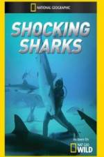 Watch Shocking Sharks 123MoviesFree