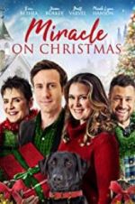 Watch Miracle on Christmas 123MoviesFree