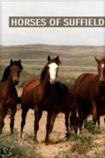 Watch Horses of Suffield 123MoviesFree