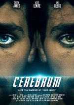 Watch Cerebrum 123MoviesFree