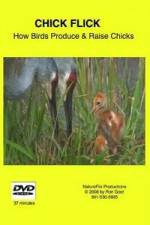 Watch Chick Flick How Birds Produce and Raise Chicks 123MoviesFree