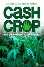 Watch Cash Crop 123MoviesFree