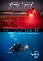 Watch The Last Turtle (Short 2019) 123MoviesFree