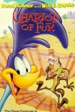 Watch Ready Woolen and Able 123MoviesFree