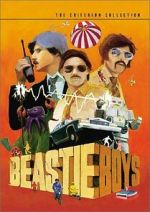 Watch Beastie Boys: Video Anthology 123MoviesFree