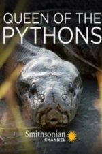 Watch Queen of the Pythons 123MoviesFree