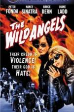 Watch The Wild Angels 123MoviesFree