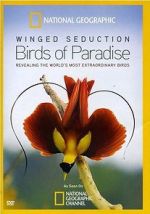 Watch Winged Seduction: Birds of Paradise 123MoviesFree