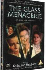 Watch The Glass Menagerie 123MoviesFree