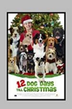 Watch 12 Dog Days Till Christmas 123MoviesFree