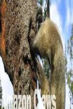 Watch National Geographic Wild Amazon Claws 123MoviesFree