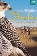 Watch Wild Arabia 123MoviesFree