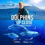 Watch Dolphins Up Close with Bertie Gregory (TV Special 2025) 123MoviesFree