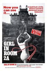 Watch The Girl in Room 2A 123MoviesFree