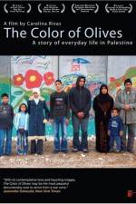 Watch The Color of Olives 123MoviesFree