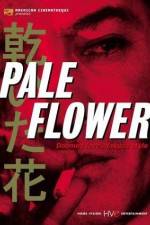 Watch Kawaita hana 123MoviesFree