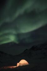 Watch The Last Igloo 123MoviesFree