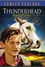 Watch Thunderhead - Son of Flicka 123MoviesFree