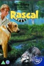 Watch Rascal 123MoviesFree