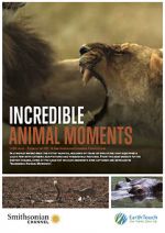 Watch Incredible Animal Moments 123MoviesFree
