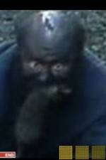 Watch The Legend of Catman 123MoviesFree