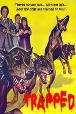 Watch Trapped 123MoviesFree