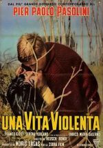 Watch Violent Life 123MoviesFree