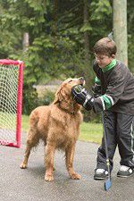 Watch Deck the Halls 123MoviesFree