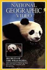 Watch Secrets of the Wild Panda 123MoviesFree