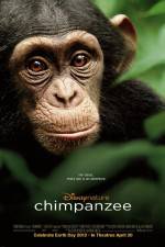Watch Chimpanzee 123MoviesFree