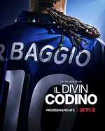 Watch Baggio: The Divine Ponytail 123MoviesFree