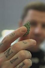 Watch Professor Green: Is It Time to Legalise Weed? 123MoviesFree