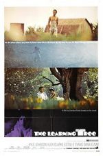 Watch The Learning Tree 123MoviesFree