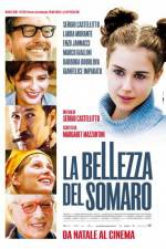 Watch La bellezza del somaro 123MoviesFree