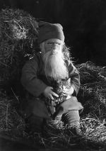 Watch Tomten 123MoviesFree