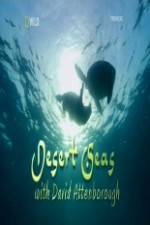 Watch National Geographic Desert Seas 123MoviesFree