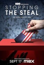 Watch Stopping the Steal 123MoviesFree
