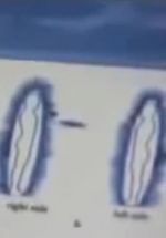 Watch Quantum Communication 123MoviesFree